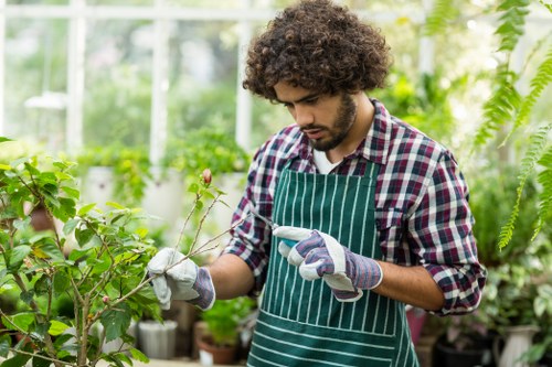 Team starting sustainable hedge trimming in Catford with eco-friendly practices