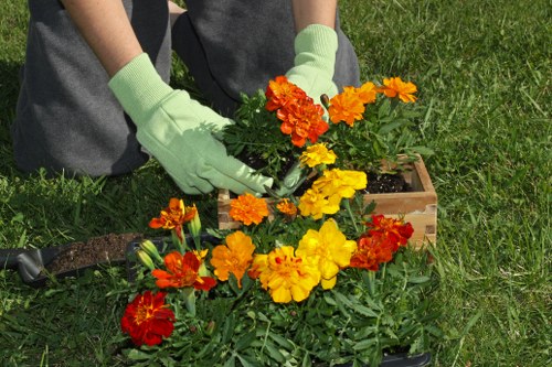 A close-up view of a gardener's hands wearing light green gloves, carefully planting vibrant orange, yellow, and red flowering plants into a rectangular wooden flower bed positioned on a well-maintained grassy garden area. The surrounding lawn is lush and evenly cut, with a mix of soil and mulch visible within the flower bed. In the background, grass extends across the outdoor space, suggesting a tidy and landscaped garden setting. The garden scene is illuminated by natural daylight, possibly on a clear day, highlighting the lively colours of the flowers and the fresh greenery. This scene reflects professional gardening and planting activities typical of outdoor maintenance services, such as hedge trimming and flower bed planting, provided by companies like Hedge Trimming Catford. The context indicates a residential garden in London, possibly within the postcode area SE6, representing typical urban gardening landscaping in the local area.