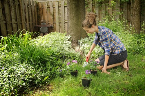 Gardener trimming a large hedge in Catford