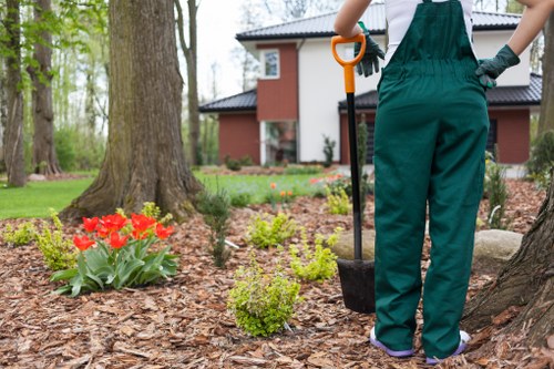 Garden clearance in a narrow London back garden with workers removing green waste