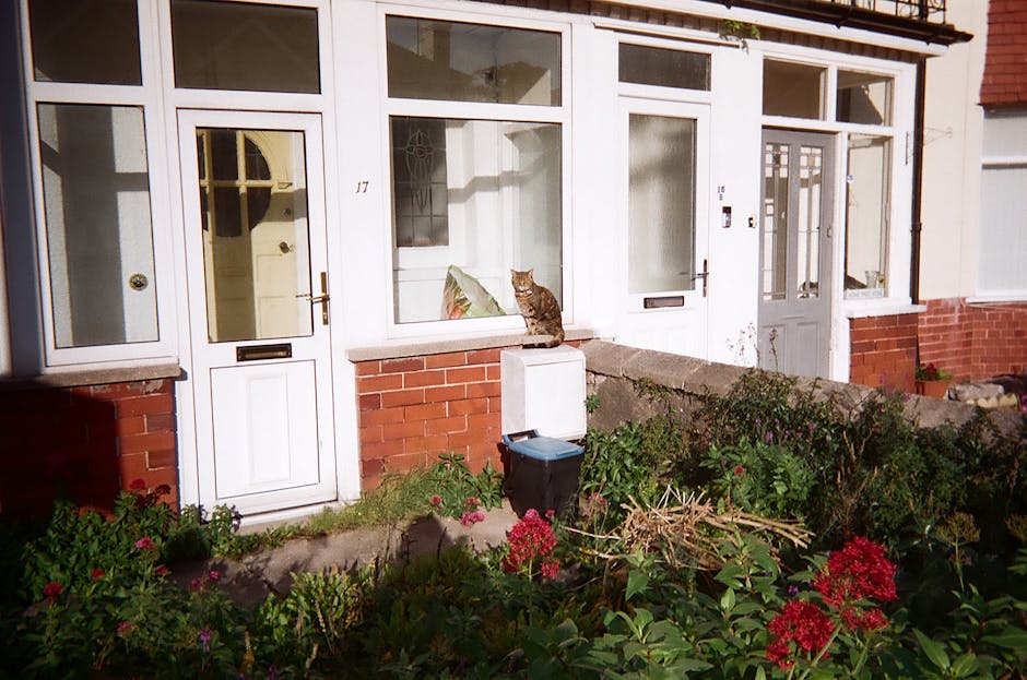 A residential garden in front of a red brick terrace house featuring a white UPVC front door and large front window panes. The garden has a variety of lush green plants and flowering shrubs, including