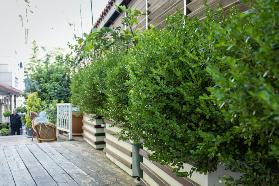 A residential garden in front of a red brick terrace house featuring a white UPVC front door and large front window panes. The garden has a variety of lush green plants and flowering shrubs, including