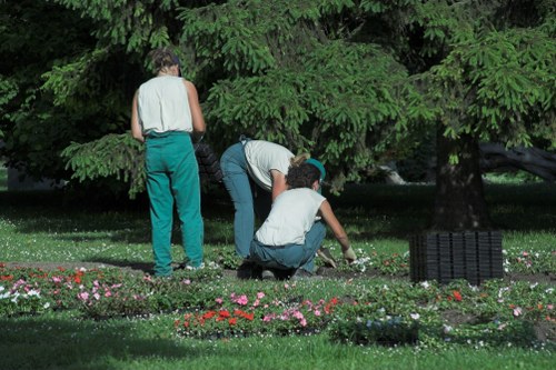 In a lush, green front garden of a property in Catford, three individuals are actively engaged in gardening activities beneath a large, leafy tree. The garden features a well-maintained lawn with dense, dark green grass, bordered by flower beds filled with small blooming plants in shades of pink, white, and red. The workers are focused on tending to this flower border, with one kneeling on the grass and another bending over to examine or plant the flowers, while a third person stands nearby, possibly overseeing or assisting. The scene takes place during daylight with natural lighting, and the environment appears calm and well-kept, characteristic of residential outdoor spaces in the area. The garden's arrangement emphasizes a layered layout with a lawn foreground, flowering borders, and mature trees providing shade, showcasing typical features of garden care and landscaping services offered by Hedge Trimming Catford.